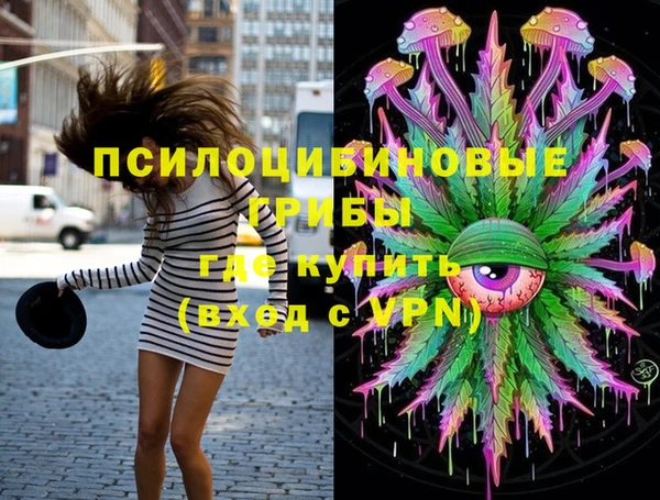 2c-b Алзамай