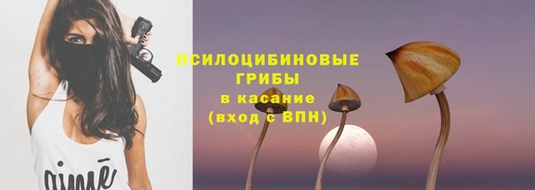2c-b Алзамай