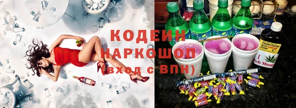 прущие грибы Покачи