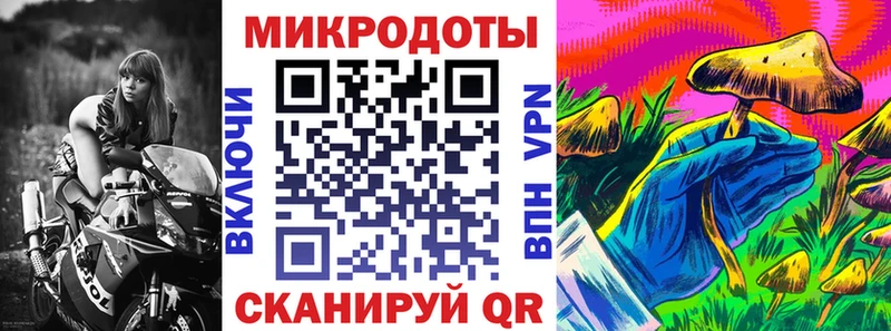 Галлюциногенные грибы Psilocybe  Туймазы 