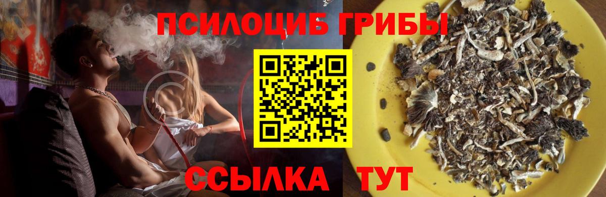 Галлюциногенные грибы Cubensis  Вход с VPN  Туймазы 