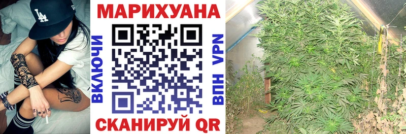kraken вход Туймазы Шишки марихуана гибрид